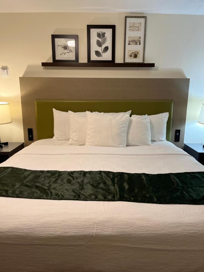 Pictured Rocks Inn And Suites مونيسينغ المظهر الخارجي الصورة